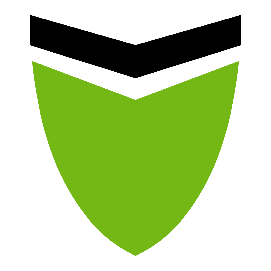 DomainShield Logo